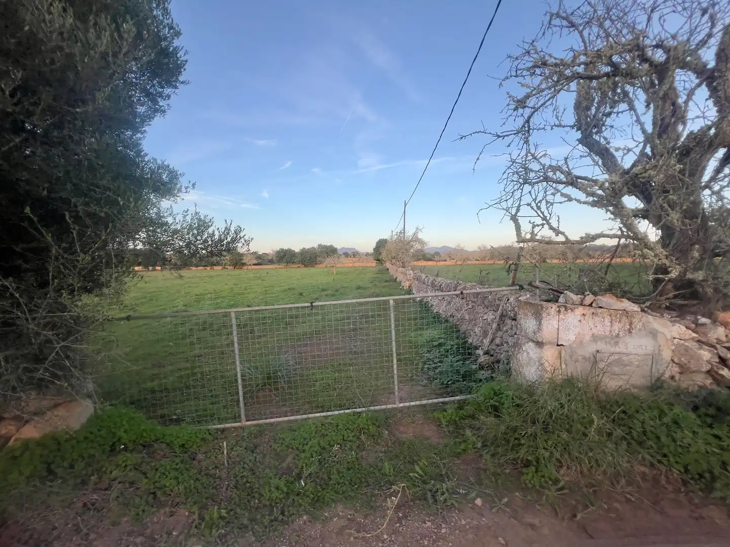 Rural land for sale in Cas Concos - Santanyí, imagen 20