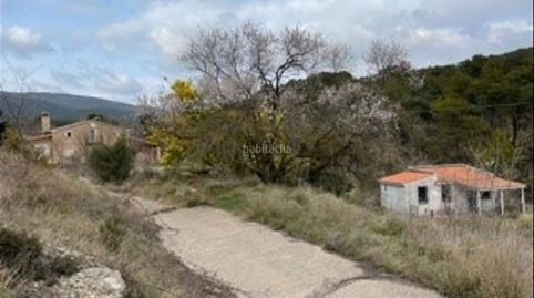 Masia restaurada en finca d’1.5ha a l´alt camp (t), imatge 3
