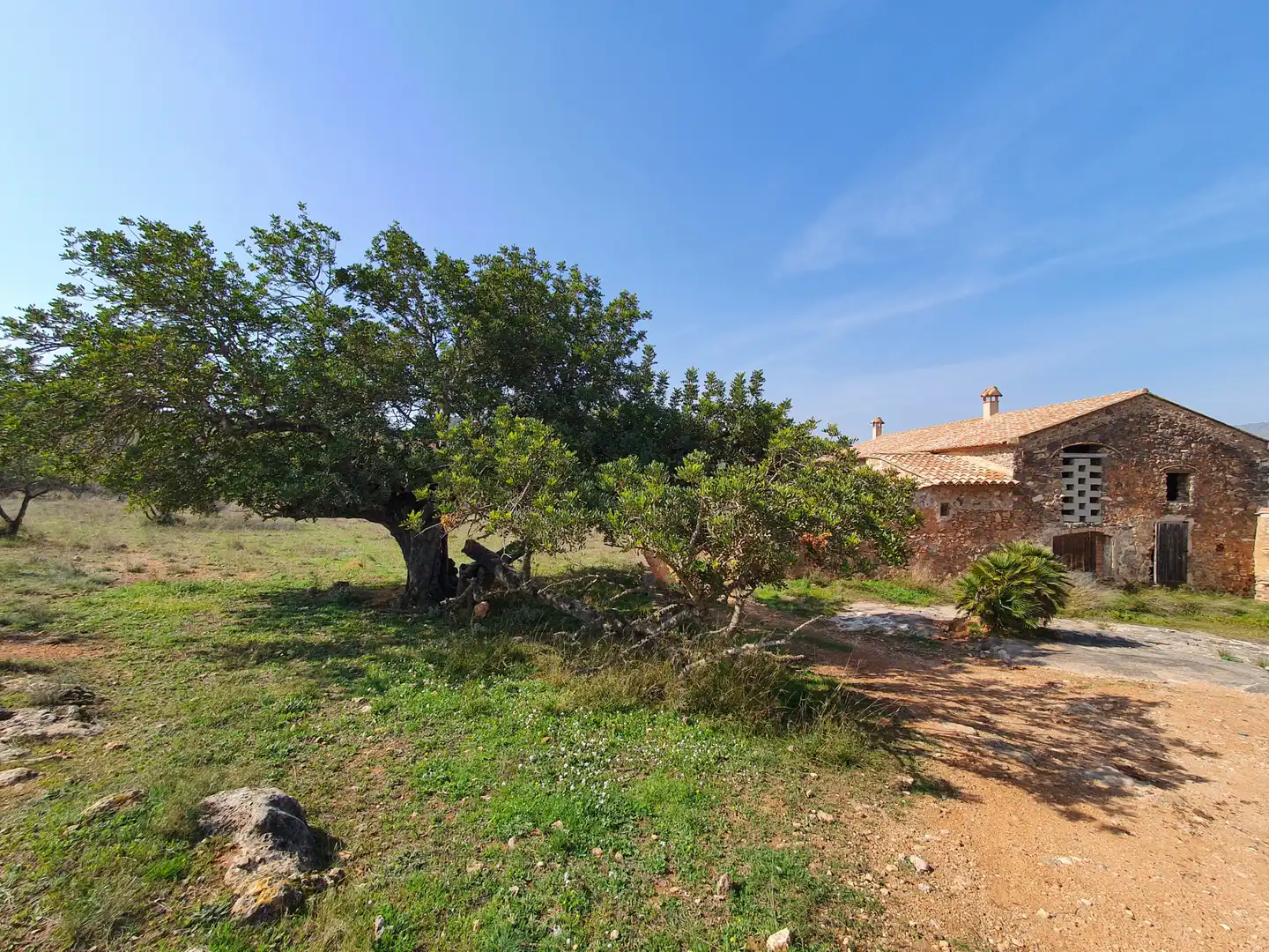 Terreno rustico in vendita a Segorbe, imagen 46
