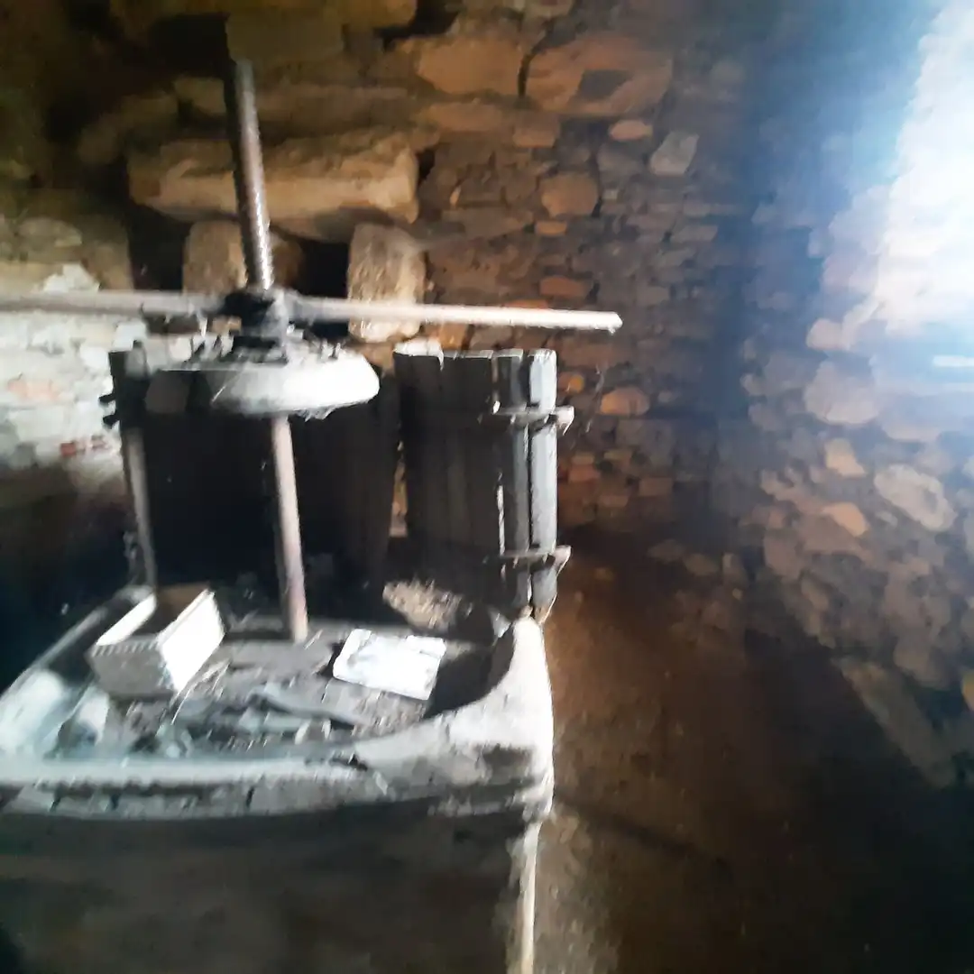 Casa rústica amb jardí en venda a CP-6602 2, imagen 39