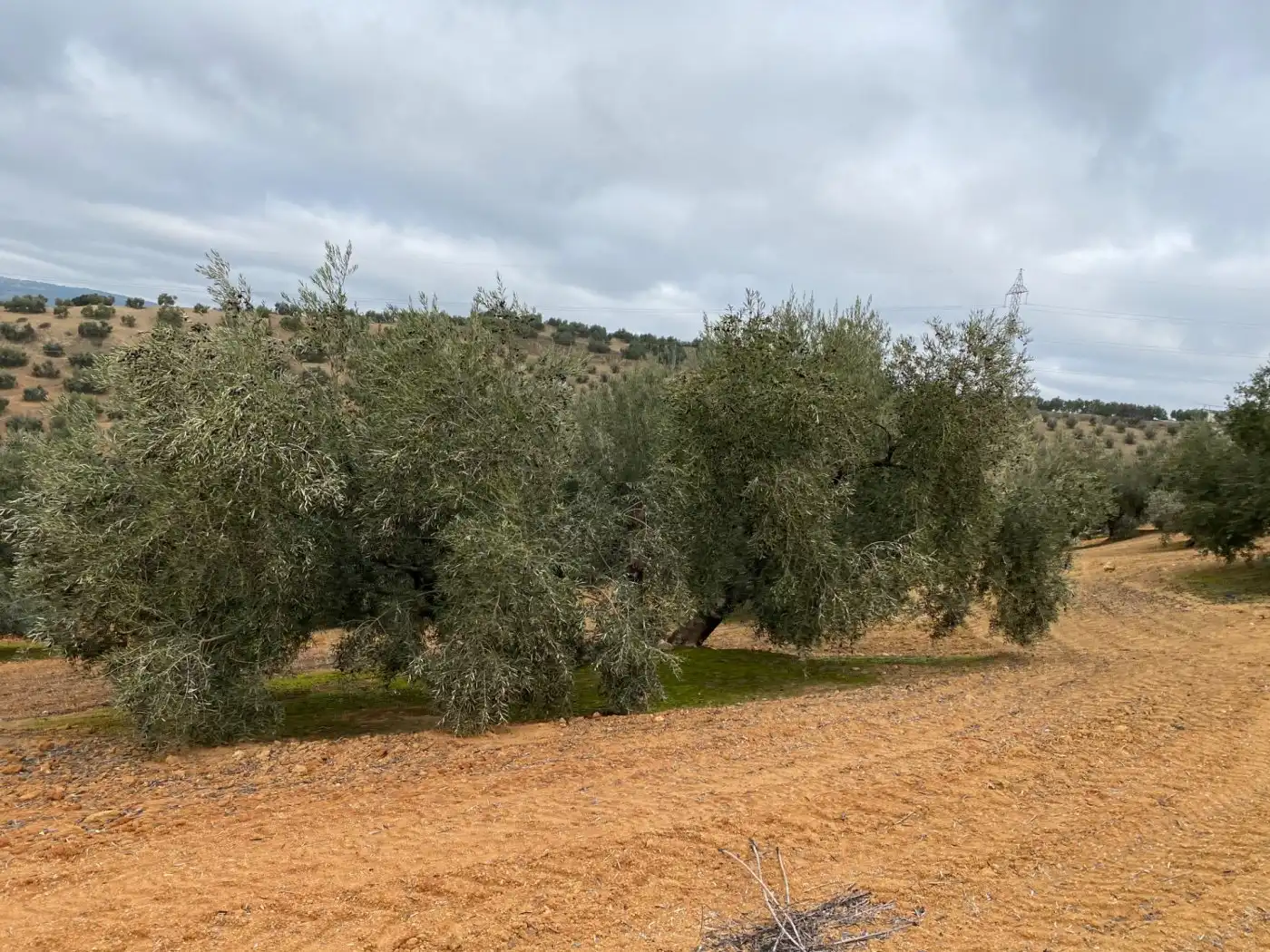 Casa rustica in vendita a Huétor Tájar, imagen 27