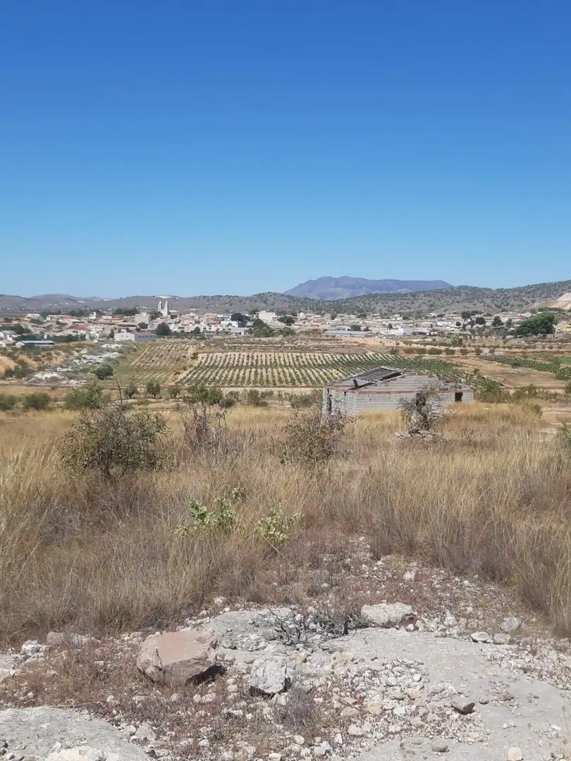 Casa o chalet en venta en Algueña