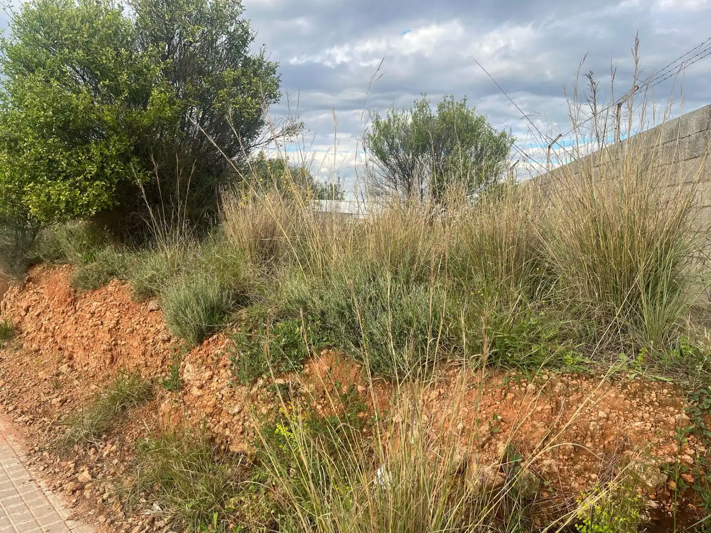 Residential land for sale in Betxí, imagen 3