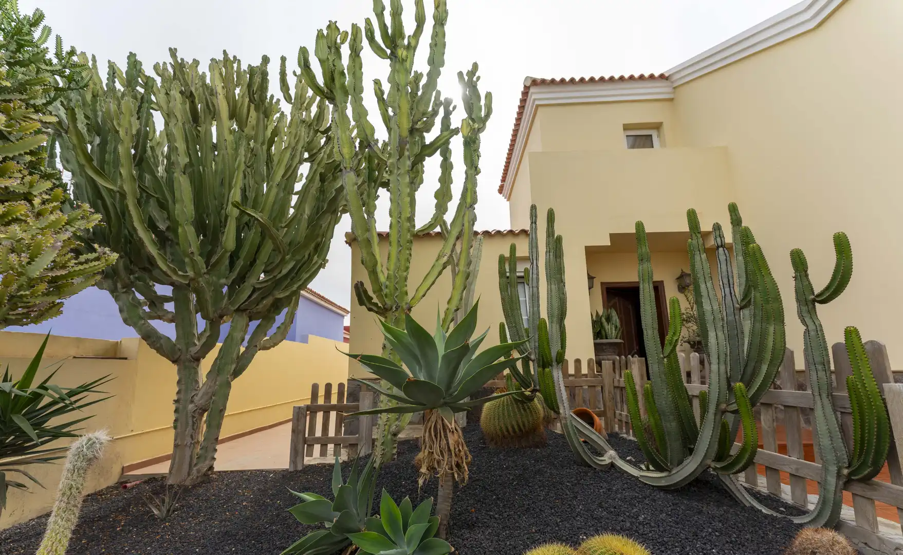 Garden of Houses for sale in Puerto del Rosario  with Private garden, Terrace and Storage room