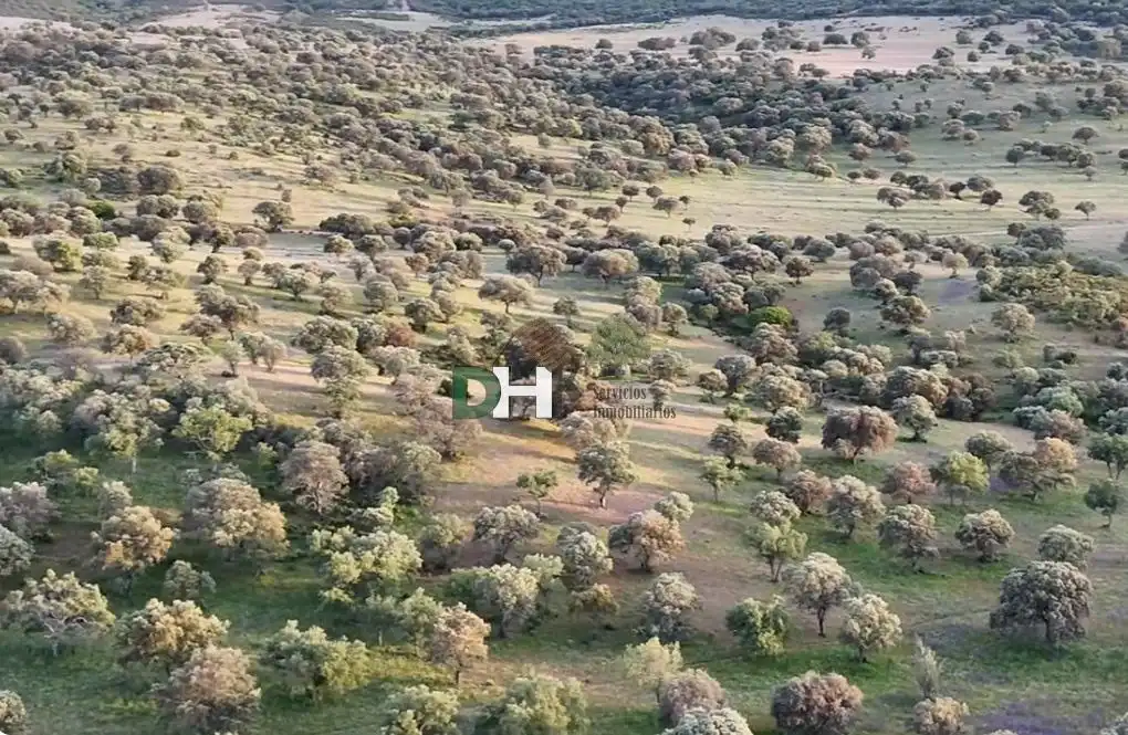 Terrenos y solares en venta en Nuevo Hospital, imagen 9