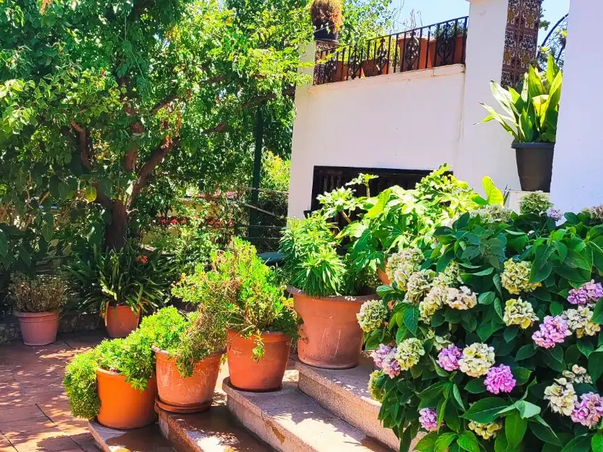 Villa con giardino in vendita a Camí de Can Ros 11, imagen 3