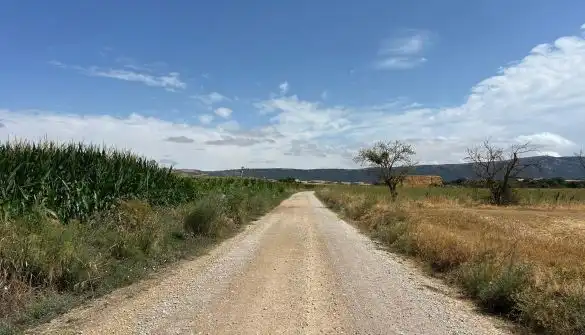 Rural land for sale in Polígono  Saratsua  polígono, imagen 20