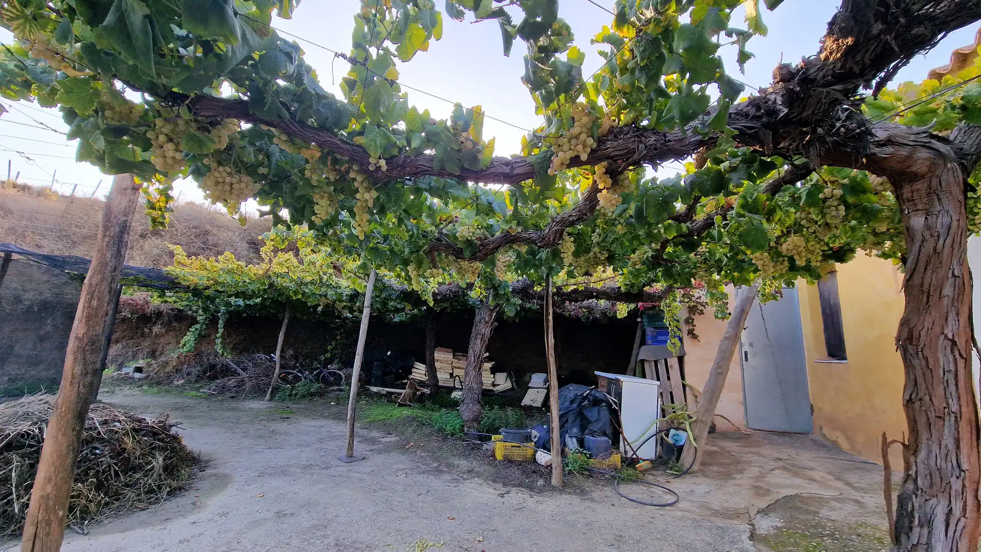 Jardí de Finca rústica en venda en Canjáyar amb Jardí privat, Terrassa i Traster