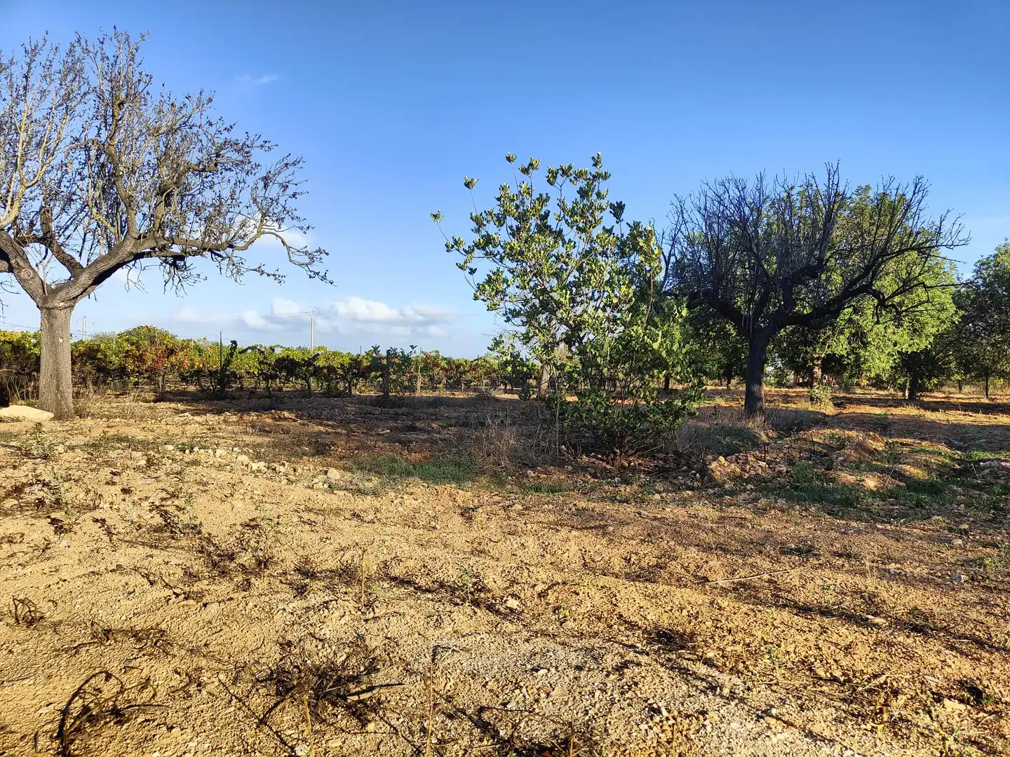 Residencial en venda en Consell