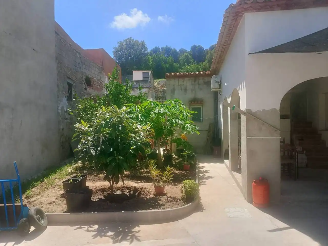 House with garden for sale in Calle Proyecto 21 44, imagen 6