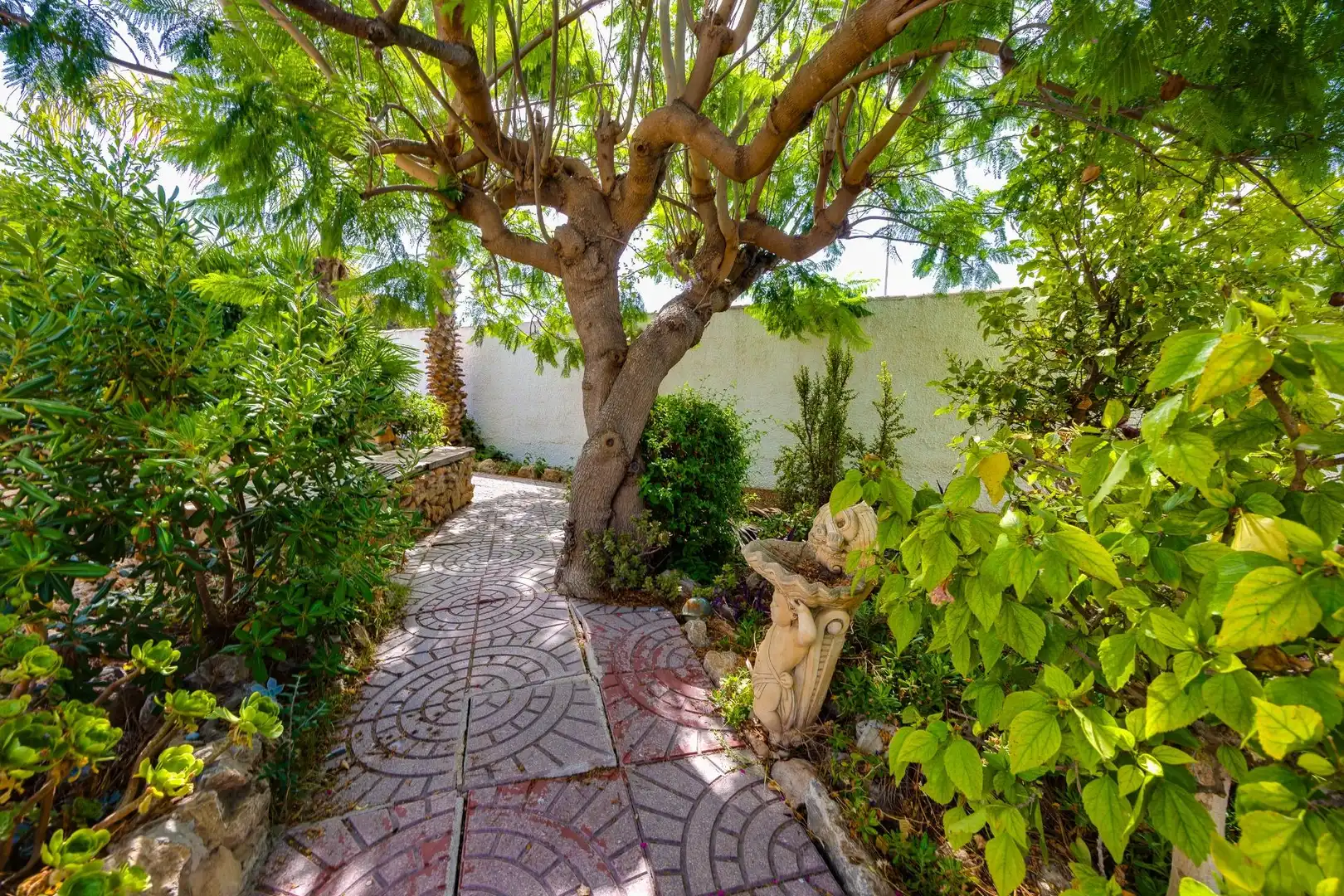 Jardí de Casa o xalet en venda en Torrevieja amb Aire condicionat, Jardí privat i Terrassa