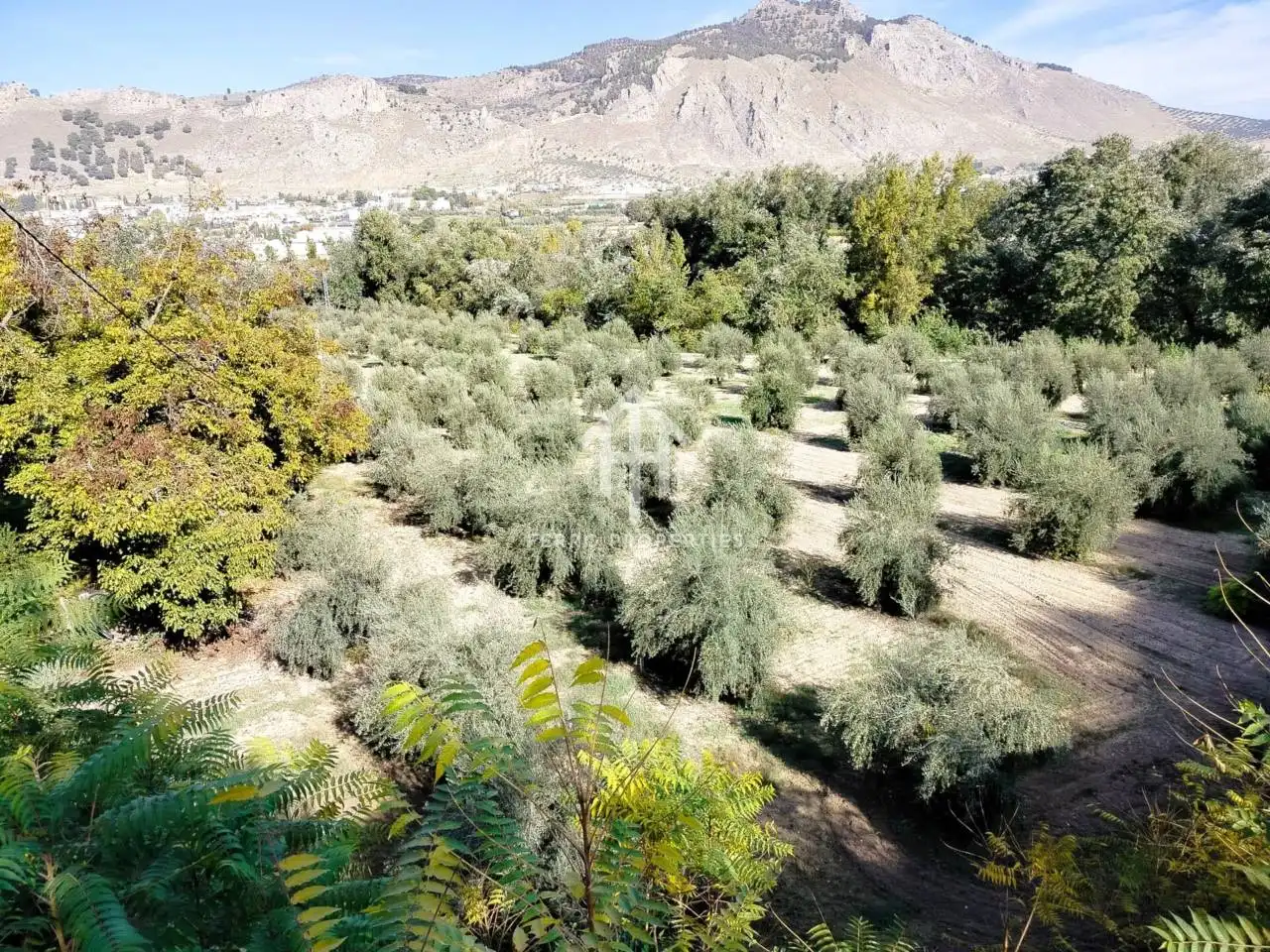 Terreni e lotti in vendita a Loja, imagen 5