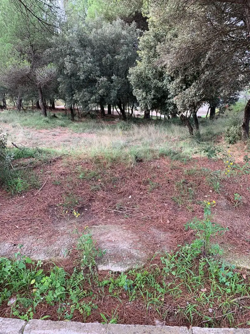 Lands and plots for sale in Carrer Carrer de Can Garriga, imagen 4