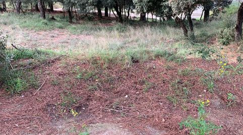 Terreno urbanizable en Seva, imatge 4