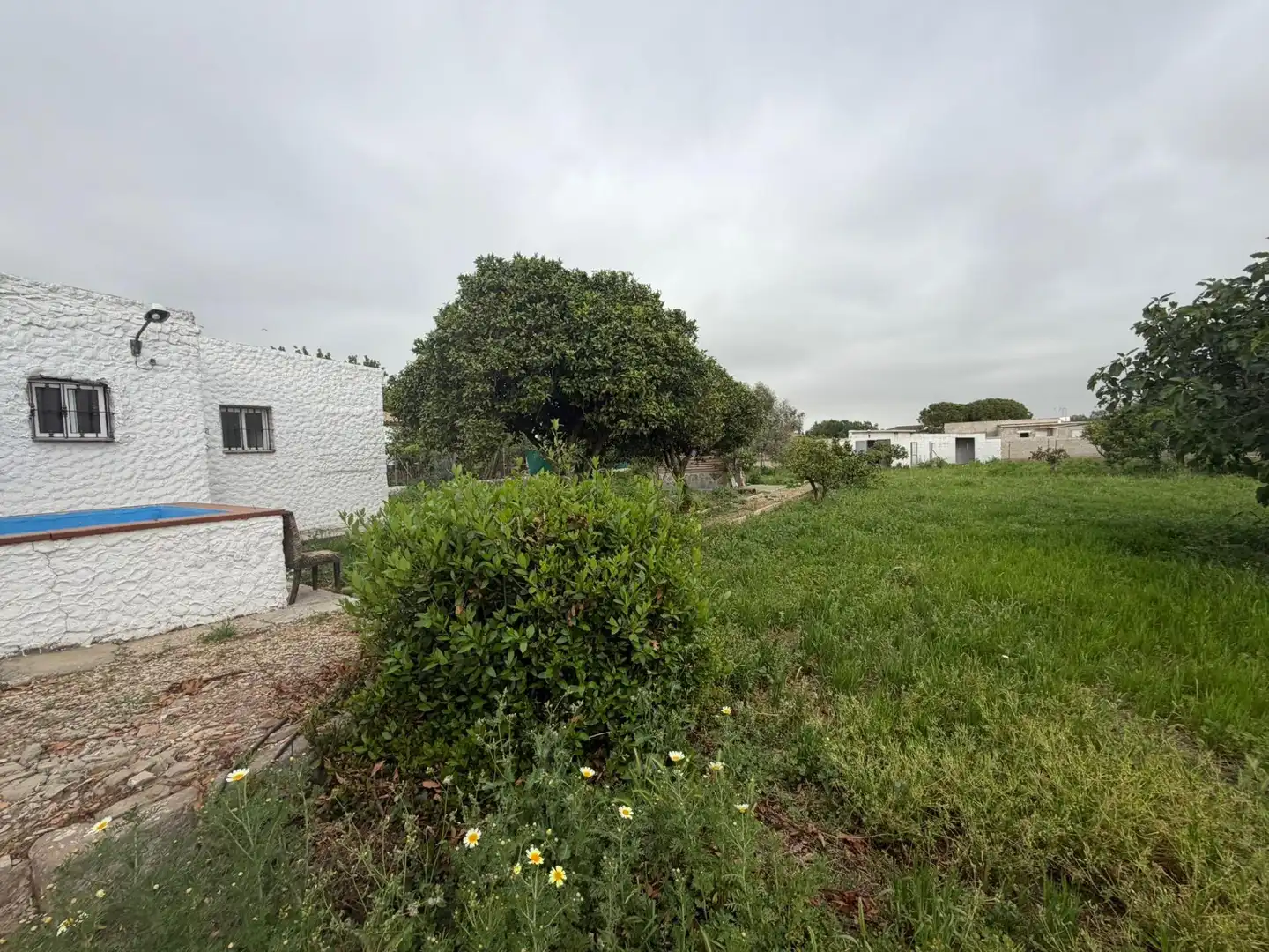 Casa o xalet en venda a Pelagatos - Pago del Humo
