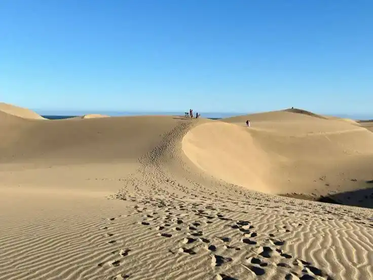Vista exterior de Casa o xalet en venda en San Bartolomé de Tirajana amb Aire condicionat i Piscina
