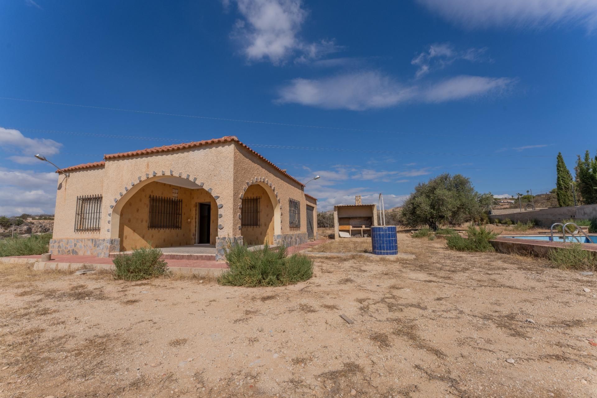 Vista exterior de Casa o xalet en venda en Elche / Elx amb Jardí privat i Piscina