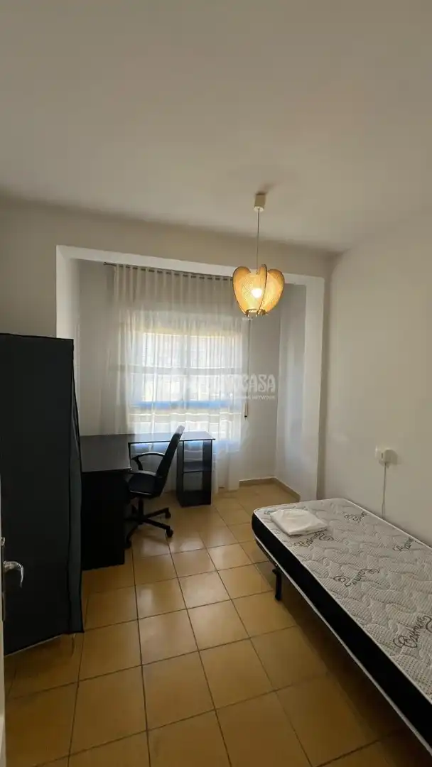Piso con terraza en alquiler en El Pilar - La Estación, imagen 23