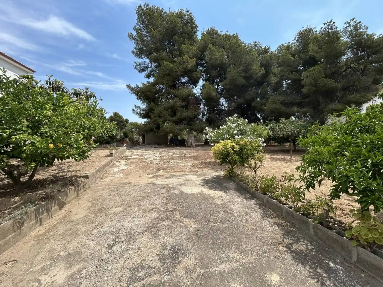 Rural land for sale in Calle Via lctea 34, imagen 21