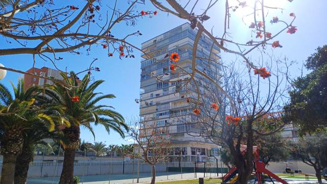 Apartamento en Venta en Avenida DE LA COSTA BLANCA, 113 en Playa de San Juan