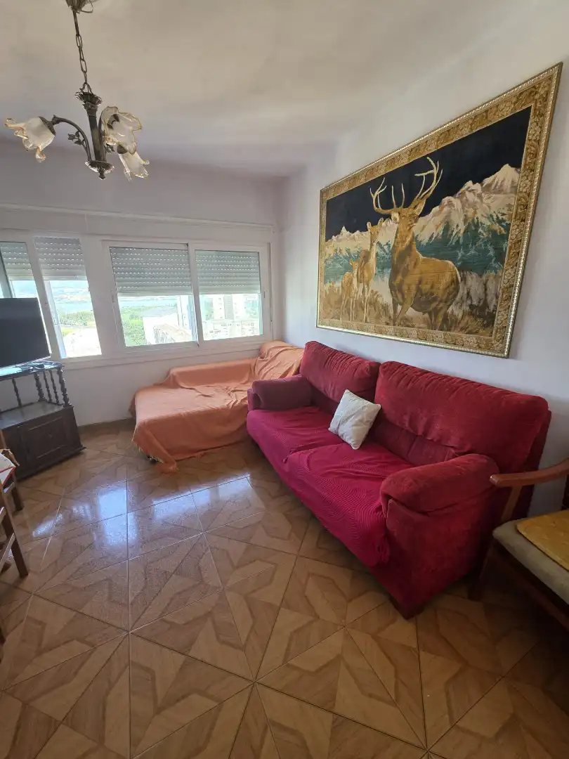 Living room of Flat for rent in Ferrol  with Furnished, Oven and Washing machine