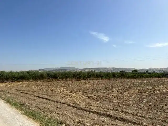 Terreno rustico in vendita a JUEVES POR LA MAQANA POLIGONO 3, imagen 2