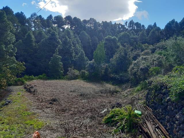 Terreno en Venta en La Vega - El Amparo - Cueva del Viento