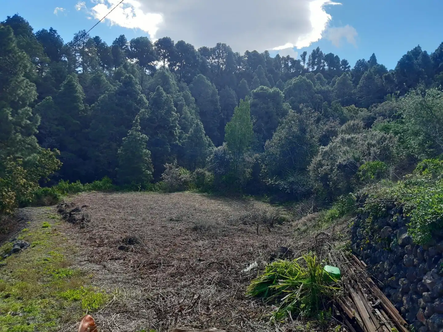 Terreno rústico en venta en La Vega - El Amparo - Cueva del Viento