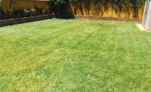 Adossat amb jardí en venda a Nueva Andalucía, imagen 7