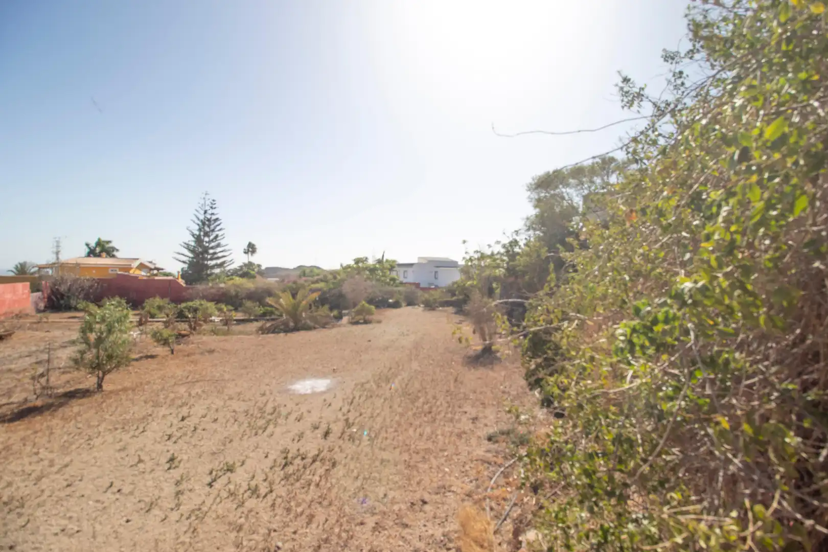Houses for sale in San Miguel de Abona