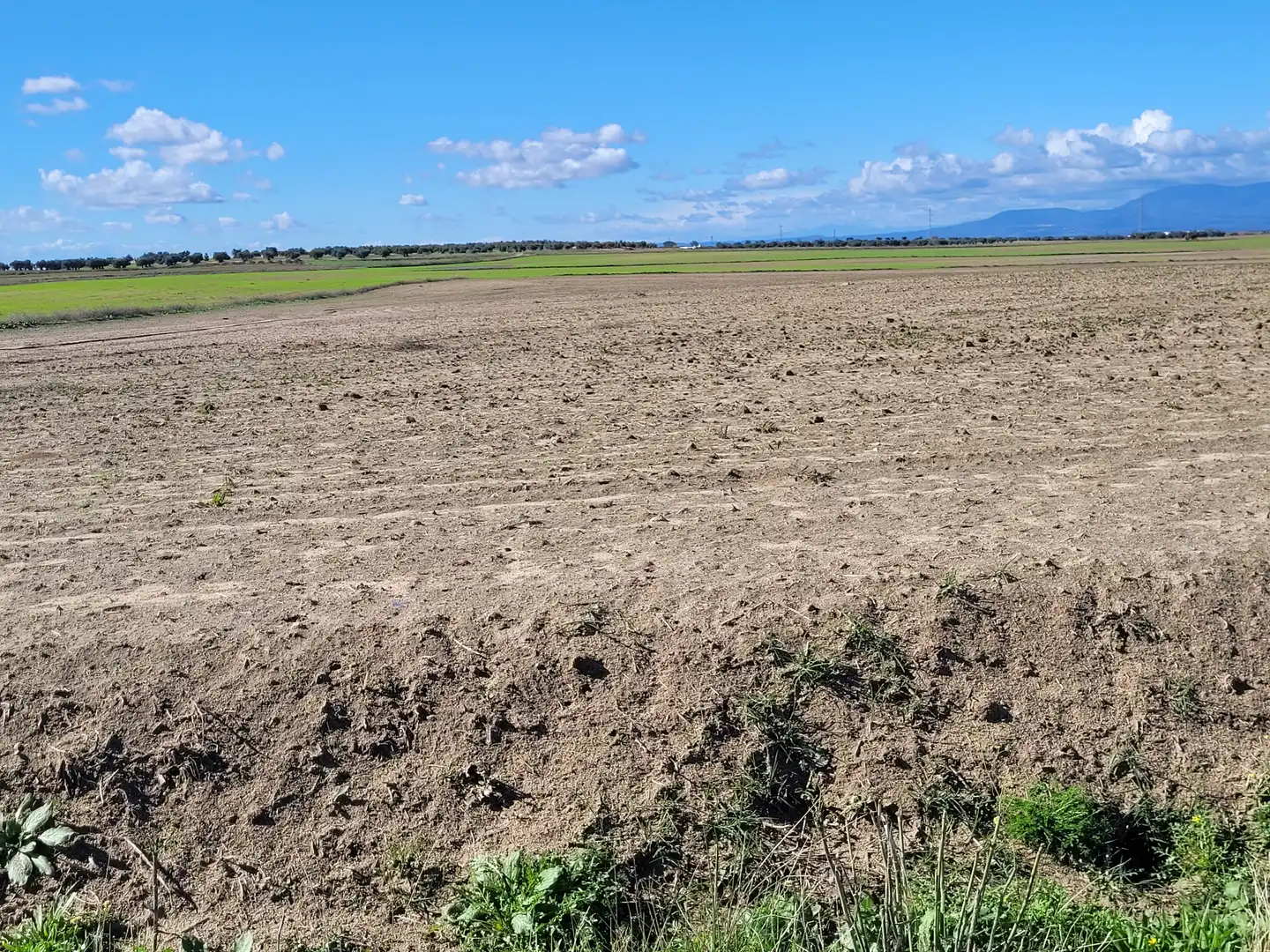 Rural land for sale in Santo Domingo-Caudilla, imagen 11