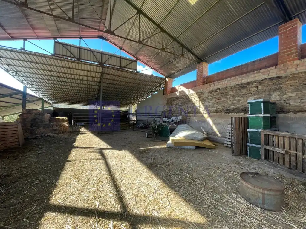 House for sale in Diseminados Carrascal, imagen 8