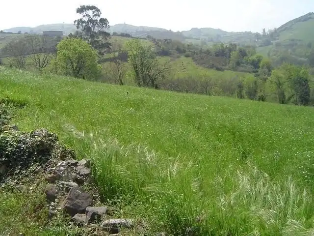 Terrenos y solares en venta en Salas, imagen 2