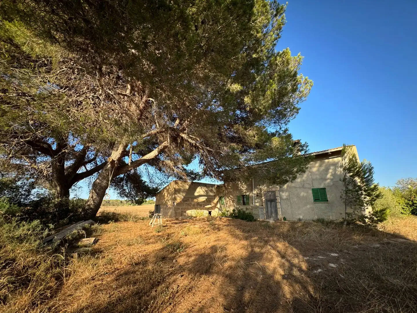 Maison rustique avec jardin à vendre à Muro, imagen 13