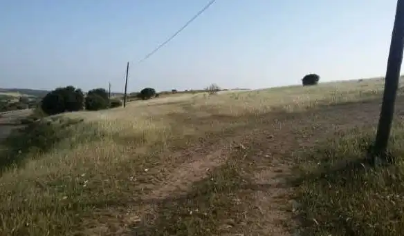 Terrains et parcelles à vendre à Almendral