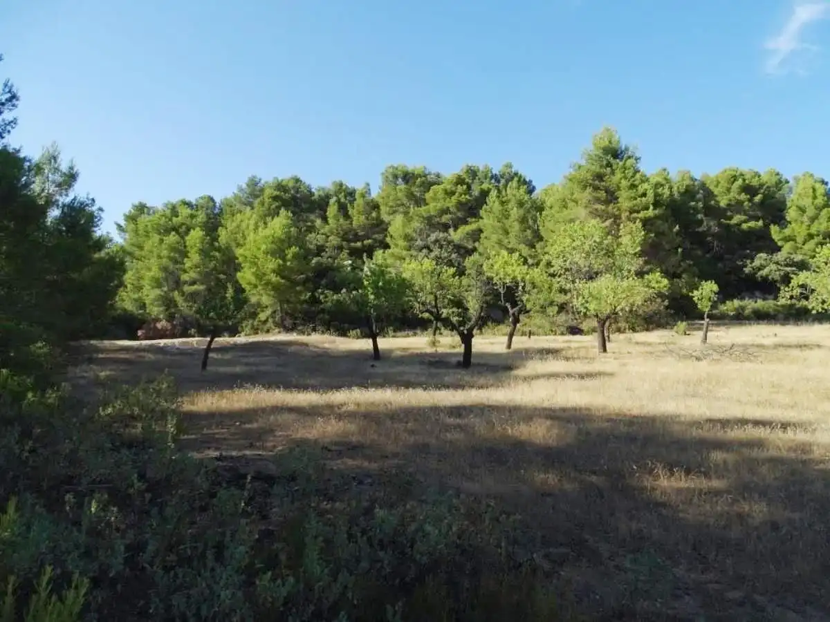 Landhaus zum Verkauf in Horta de Sant Joan, imagen 19