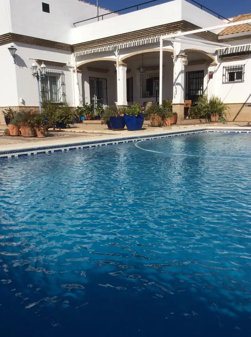 Piscina de Casa o xalet en venda en Espartinas amb Aire condicionat, Calefacció i Jardí privat