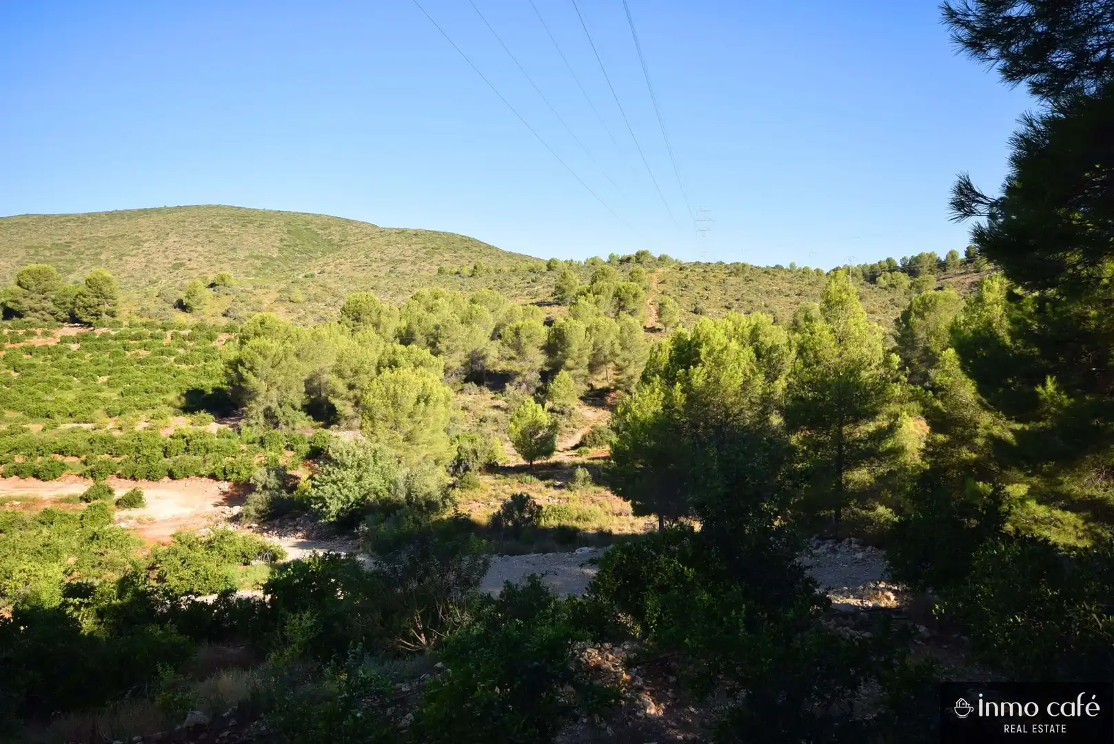 Terreny rústic en venda a L'Alcúdia de Crespins, imagen 28