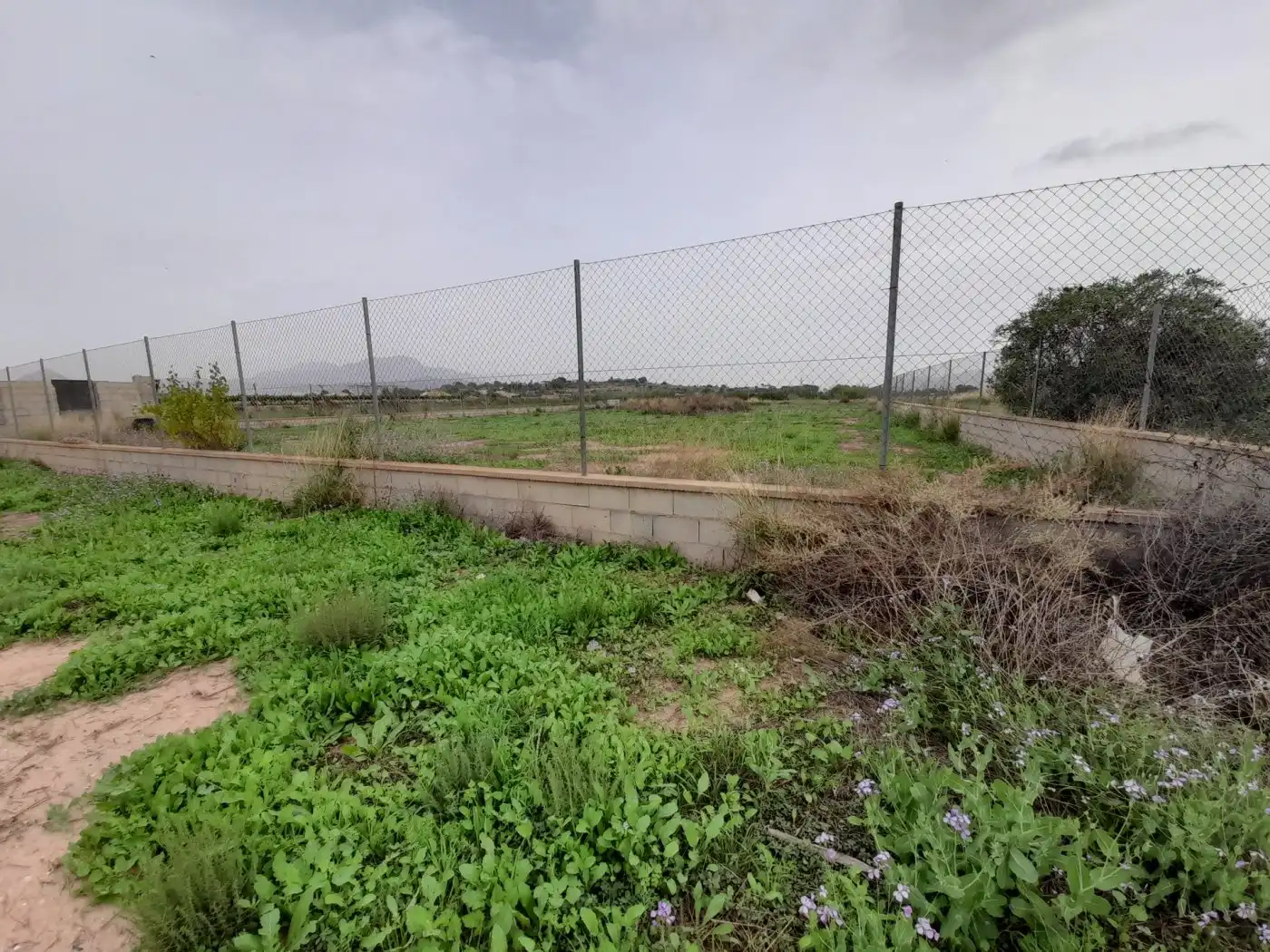 Casa o xalet en venda en Novelda amb Terrassa i Alarma