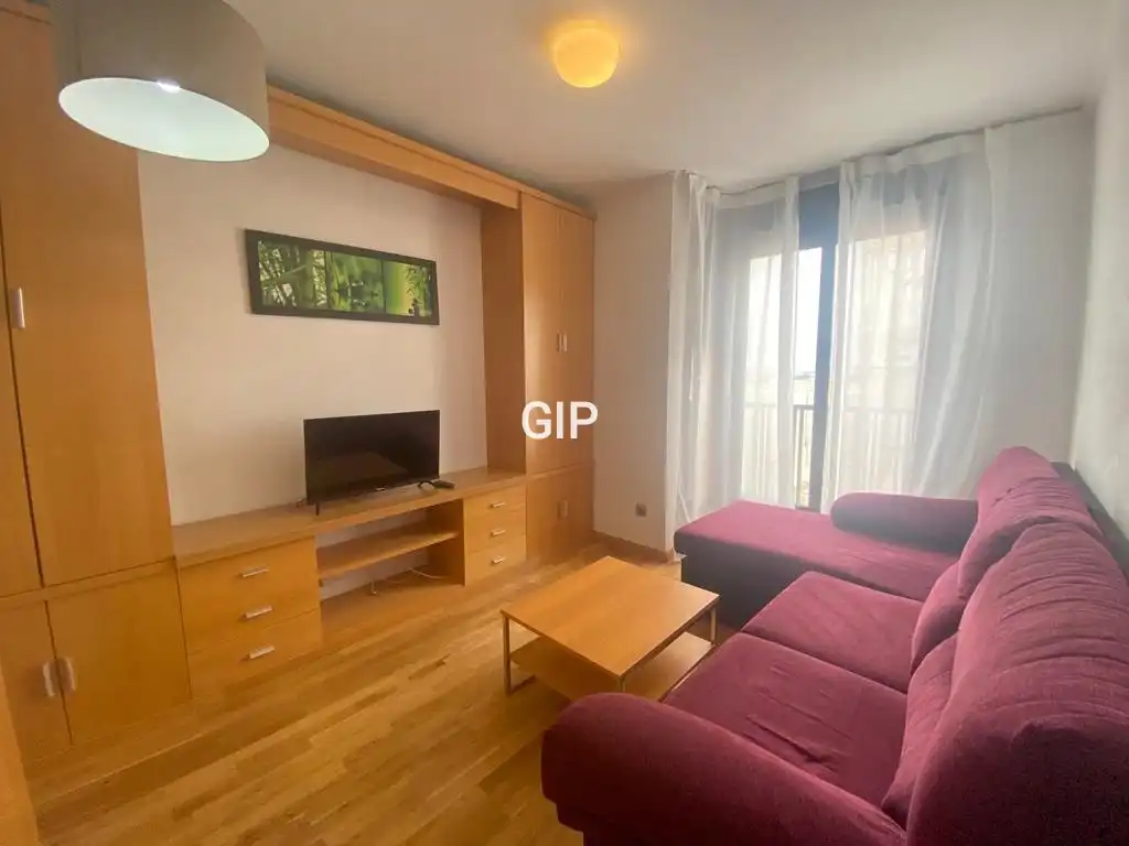 Living room of Apartments for rent in Madrid  with Air Conditioner, Heating and Furnished