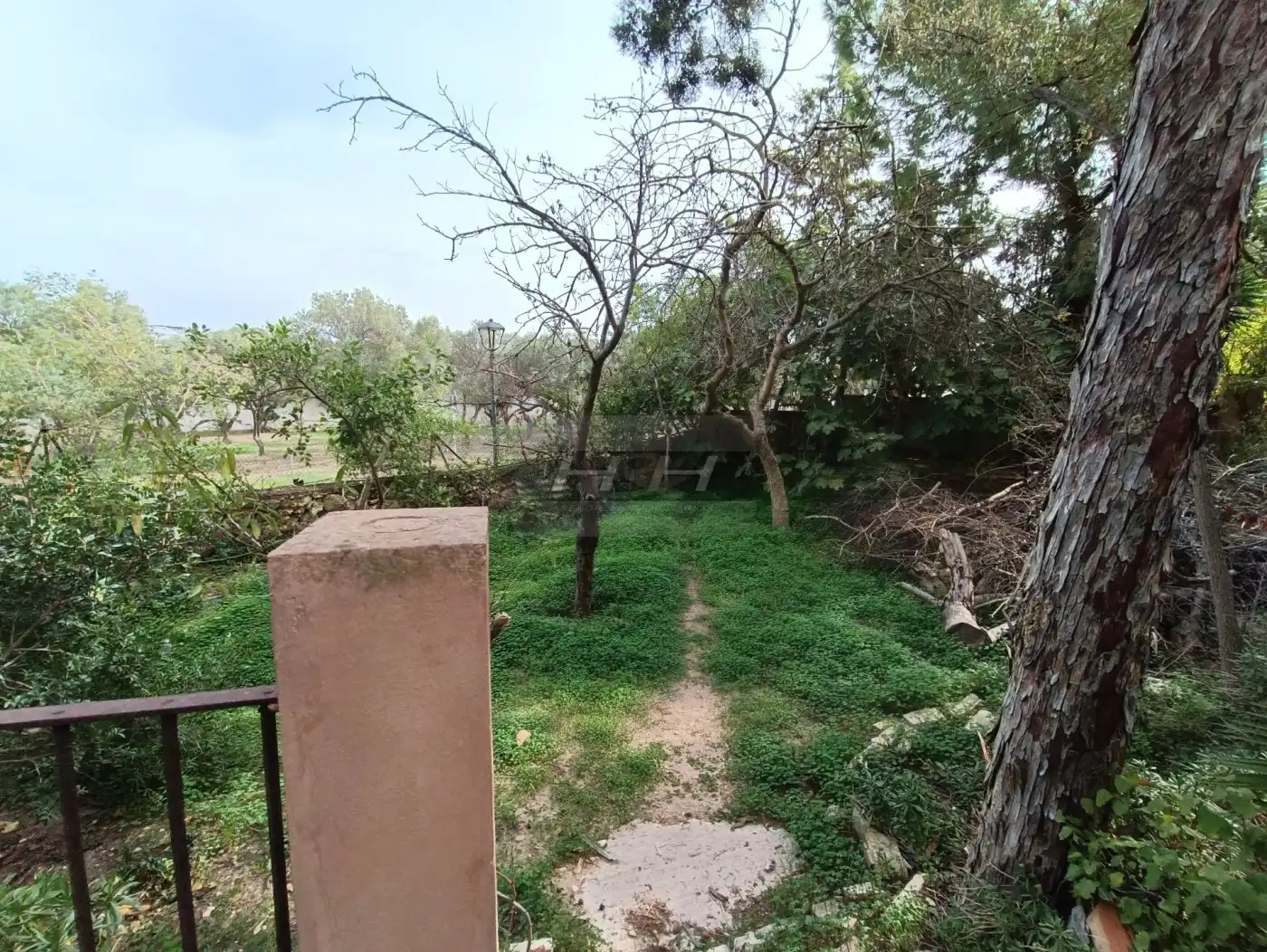 Terreno residenziale in vendita a Campolivar, imagen 5