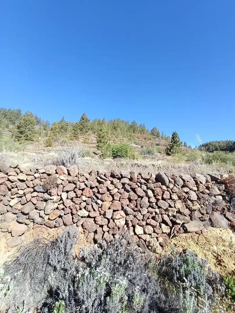 Terreno rústico en venta en M\A LIRIOS. VILAFLOR DE CHASNA [S.C. TENERIFE], imagen 19