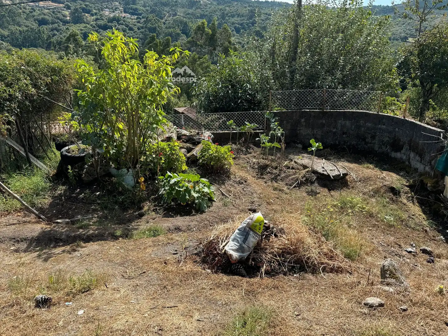 Jardí de Casa o xalet en venda en Covelo