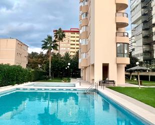 Piscina de Pis de lloguer en Alicante / Alacant