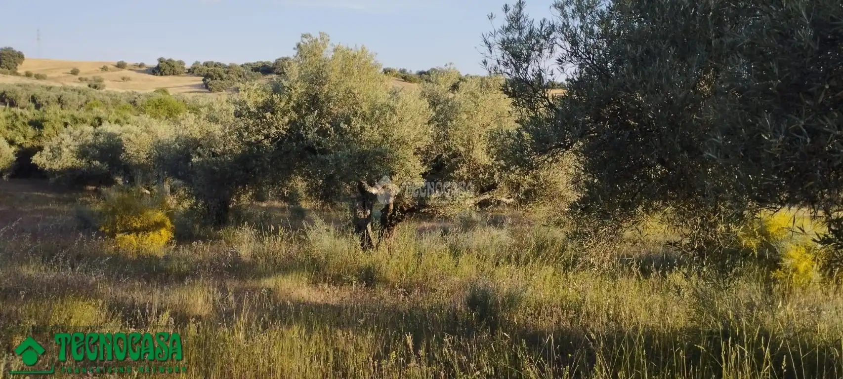 Terreni e lotti in vendita a Méntrida, imagen 19
