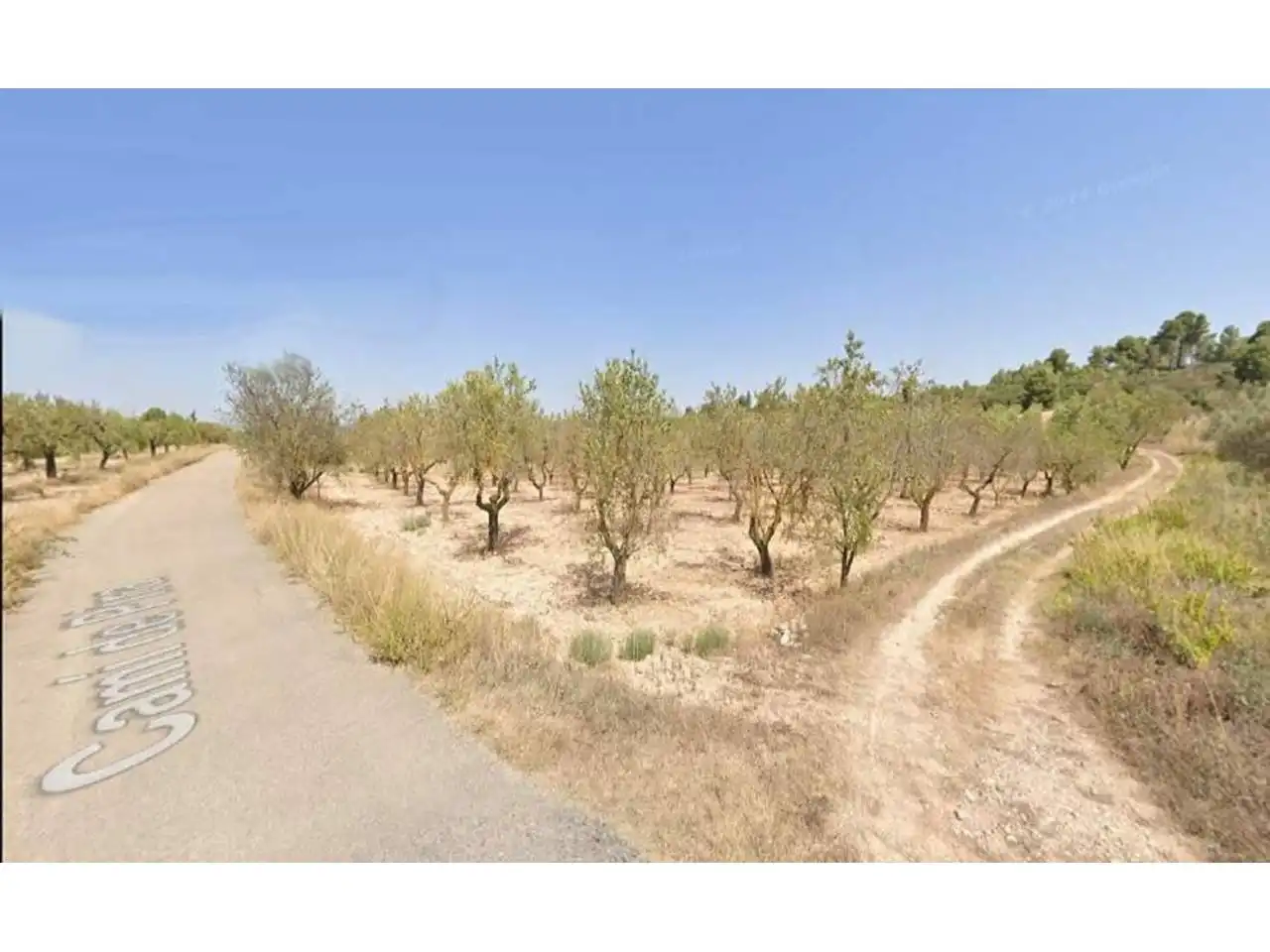Rural land for sale in Carretera de Pira, imagen 4