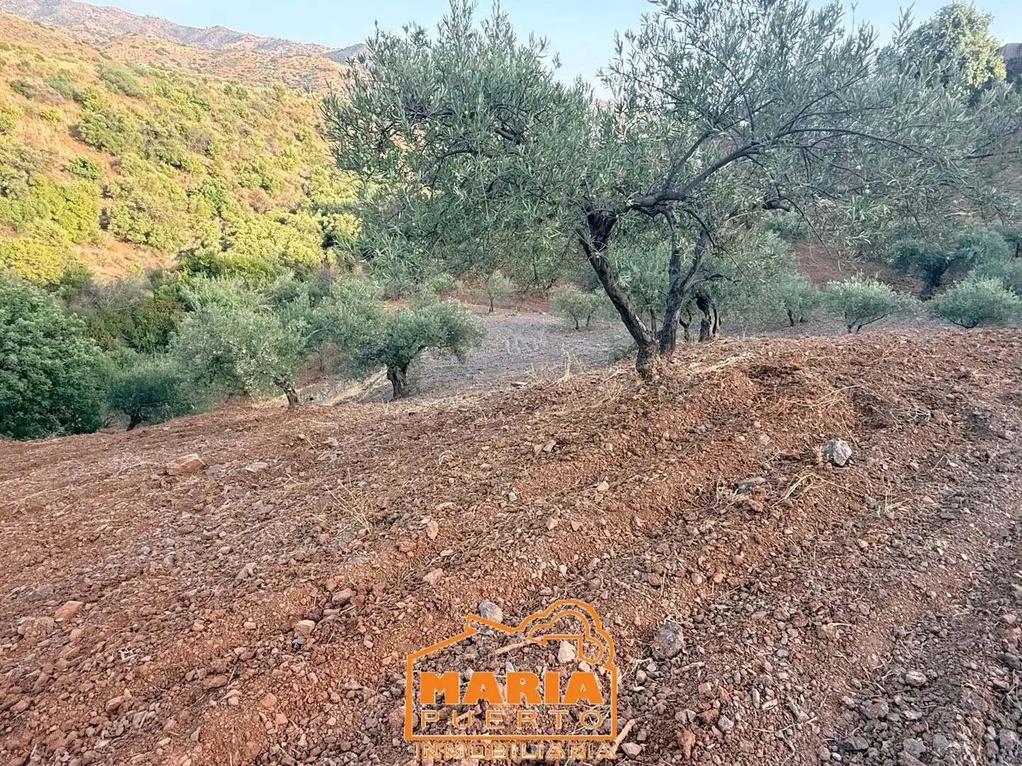 Terreno rustico in vendita a Almogía, imagen 10