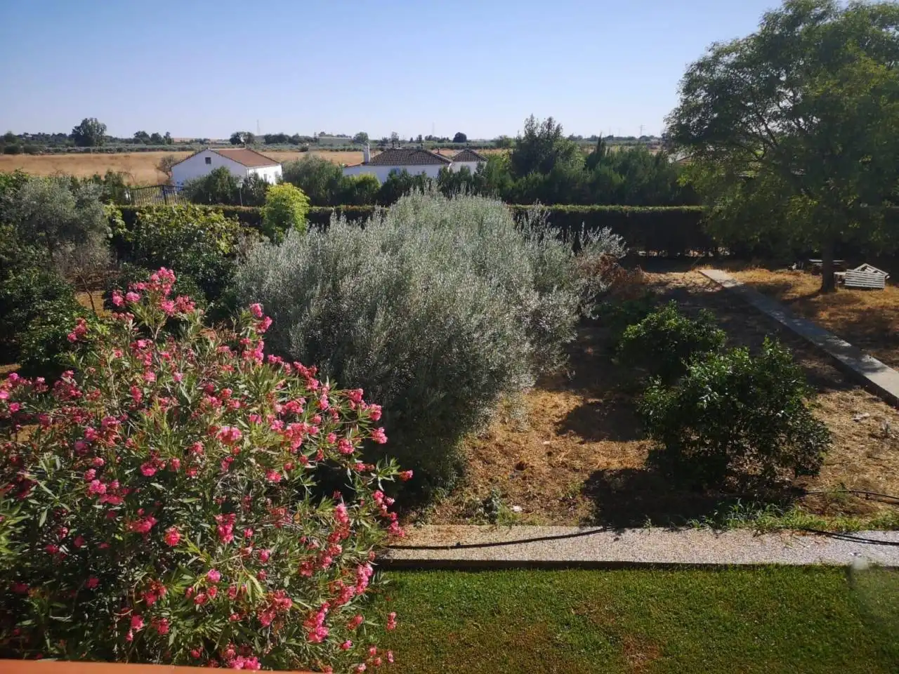 Villa avec piscine à vendre à Urbanizacion Tres Palmeras, imagen 14