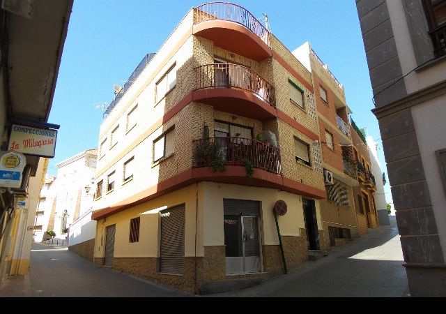 Exterior view of Flat for sale in Adra