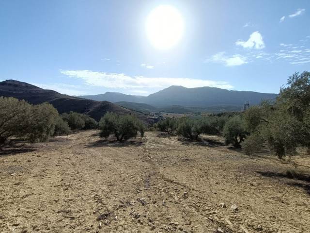 Terreno en Venta en Bobadilla - Bobadilla Estación - La Joya